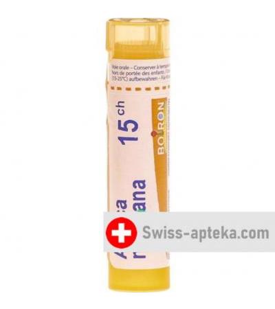 Буарон Арника Монтана гранулы C 15 4 грамма