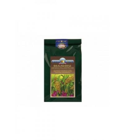 BIOKING Braunhirsevollwertpulver 1000 g