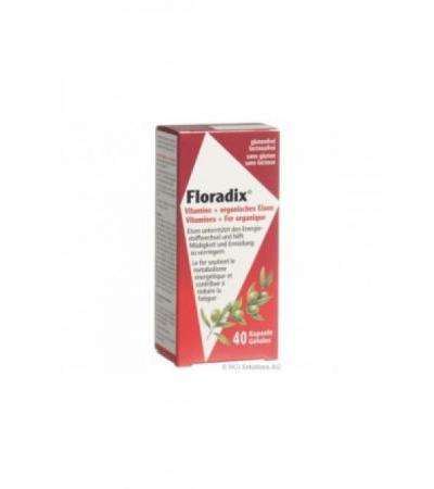 FLORADIX Vitamine+organisches Eisen Kaps 40 Stk