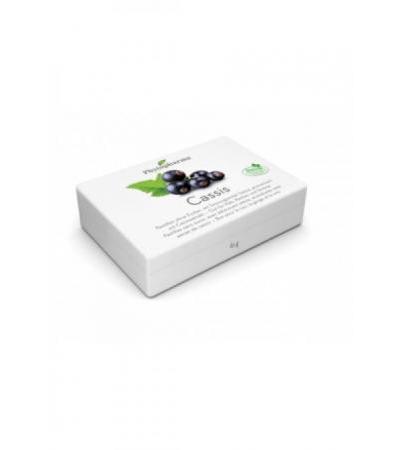 PHYTOPHARMA Cassis Pastillen 60 g