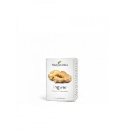 PHYTOPHARMA Ingwer Kaps 365 mg 60 Stk