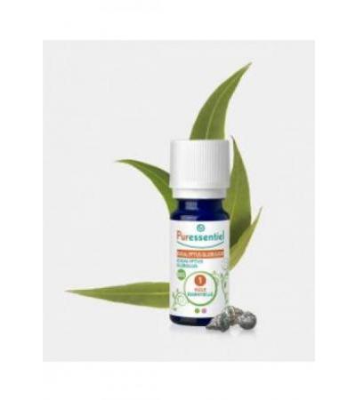 PURESSENTIEL Eucalyptus Äth/Öl Bio 10 ml