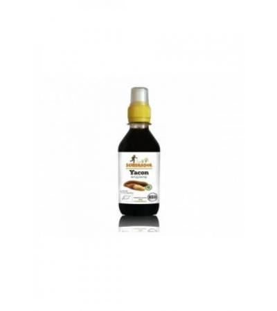 SEMBRADOR Yacon Sirup Bio Fl 324 g