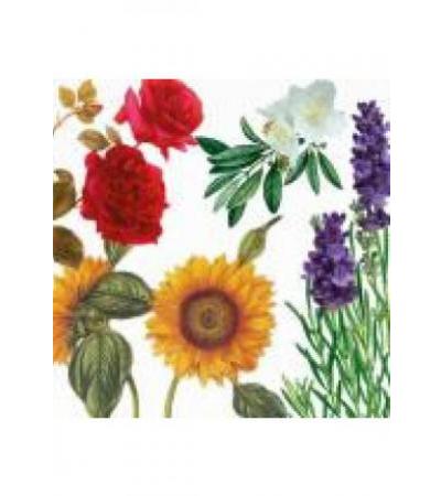 SHUYAO TEEKULTUR 116. Blumenwiese** Btl 25 g
