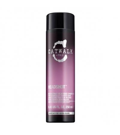 Catwalk Icon - Headshot Conditioner